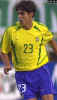 Kaka161td.jpg (53671 Byte)